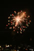 2009年 長野 諏訪湖 第27回全国新作花火競技大会 写真集 | マルゴー　「陽の光で紡いだ花」